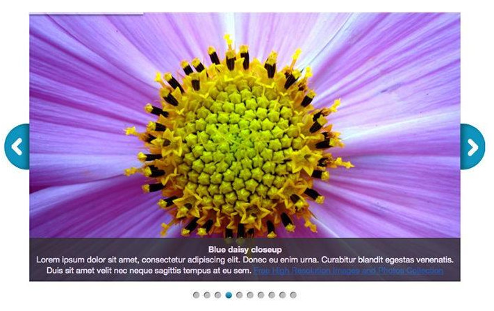 Jxtc Easy Image Gallery Joomla Extension