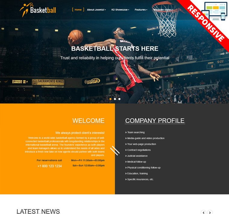 Bestaddon Basketball - Joomla Templates
