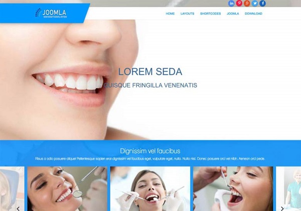 Mixwebtemplates Joomla167 - Dental Joomla Template
