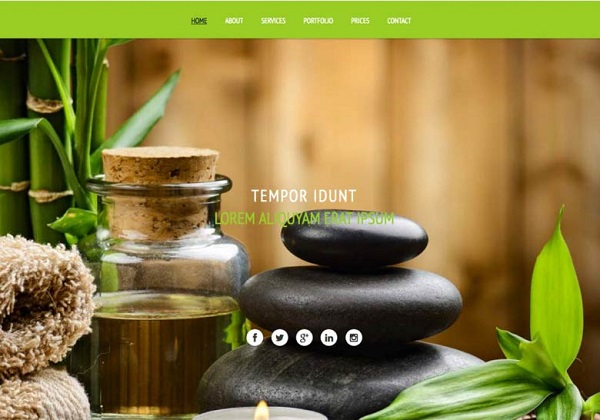 Mixwebtemplates Joomla168 - One Page Wellness Centers Joomla Template