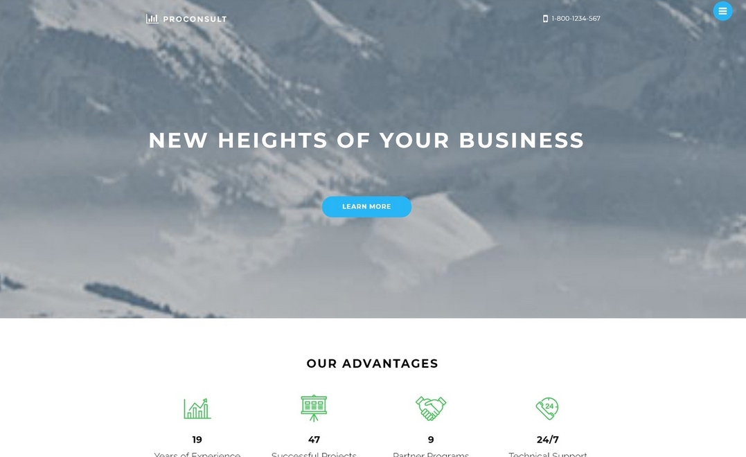 Proconsult Joomla Template
