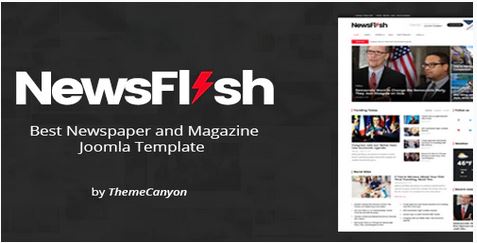 Theme Forest Newsflash - Joomla Template
