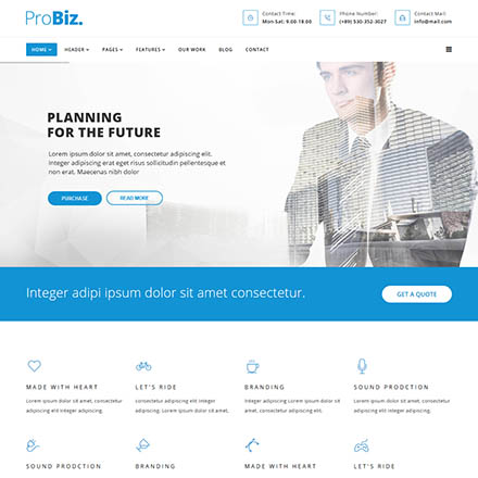 Theme Forest Probiz - Joomla Template