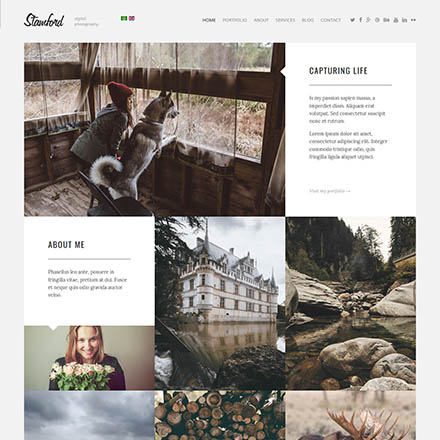 Theme Forest Stamford - Joomla Template