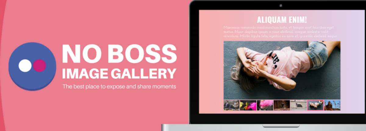 No Boss Image Gallery - Joomla Extension