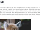 Dependent-Custom-Fields-For-All-Joomla-Extension-9