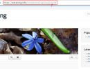 Direct-Alias-Pro-Joomla-Extension-3