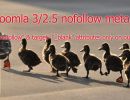 Easy-Meta-Joomla-Extension-10
