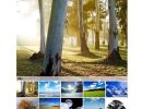 Ingallery-Joomla-Extension-4
