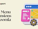 Quiz-Deluxe-Expert-Joomla-Extension-7