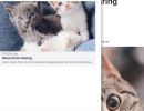 Shack-Article-Sharing-Joomla-Extension-7