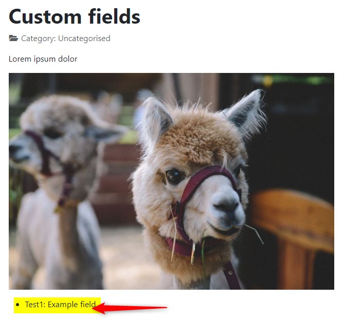 Vp-Advanced-Custom-Field-Joomla-Extension-10