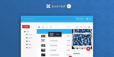Balbooa Gallery Pro - Joomla Extension
