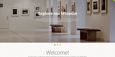 Template Monster The Museum - Joomla Templates