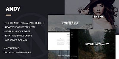 Theme Forest Andy - Joomla Template