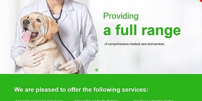 Bestaddon Vet - Joomla Templates