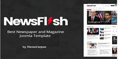 Theme Forest Newsflash - Joomla Template