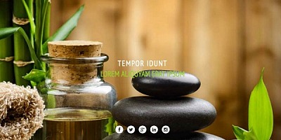 Mixwebtemplates Joomla168 - One Page Wellness Centers Joomla Template