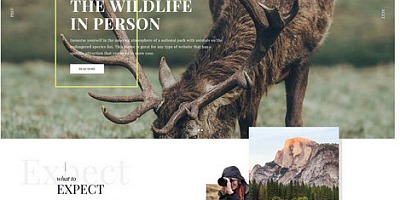 Shape5 Attractions - Joomla Template