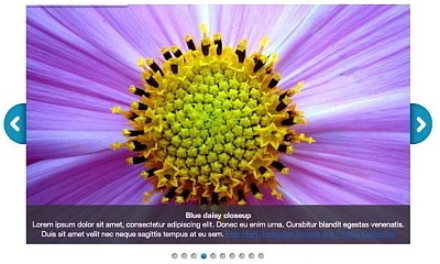 Jxtc Easy Image Gallery Joomla Extension