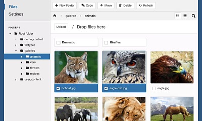 FILEman 5.0.0 - JoomlaTools