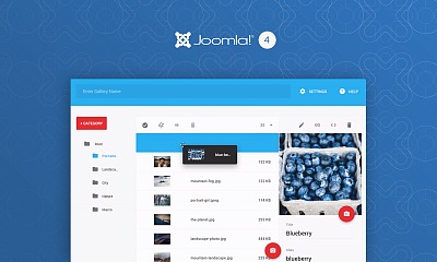 Balbooa Gallery Pro - Joomla Extension
