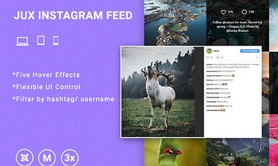 JUX Easy Instagram Feed - Joomla Extension