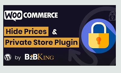 WooCommerce Hide Prices, Products, and Store by B2BKing - WordPress
