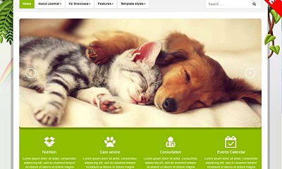 Bestaddon Pets - Joomla Templates