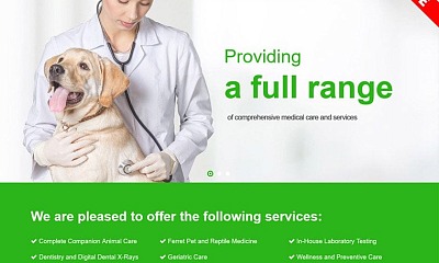 Bestaddon Vet - Joomla Templates