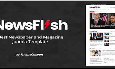 Theme Forest Newsflash - Joomla Template