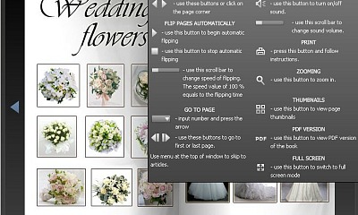 Flash Magazine Deluxe - Joomla Extension