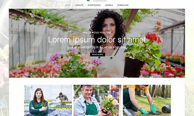 Mixwebtemplates Joomla172 - Featured - Landscape Joomla Template