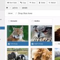 FILEman 5.0.0 - JoomlaTools