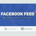 Facebook Feed Pro 3.14.0 - Joomla Extension
