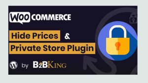 WooCommerce Hide Prices, Products, and Store by B2BKing - WordPress