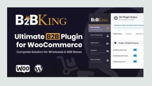 B2BKing - The Ultimate WooCommerce B2B &amp; Wholesale Plugin - WordPress